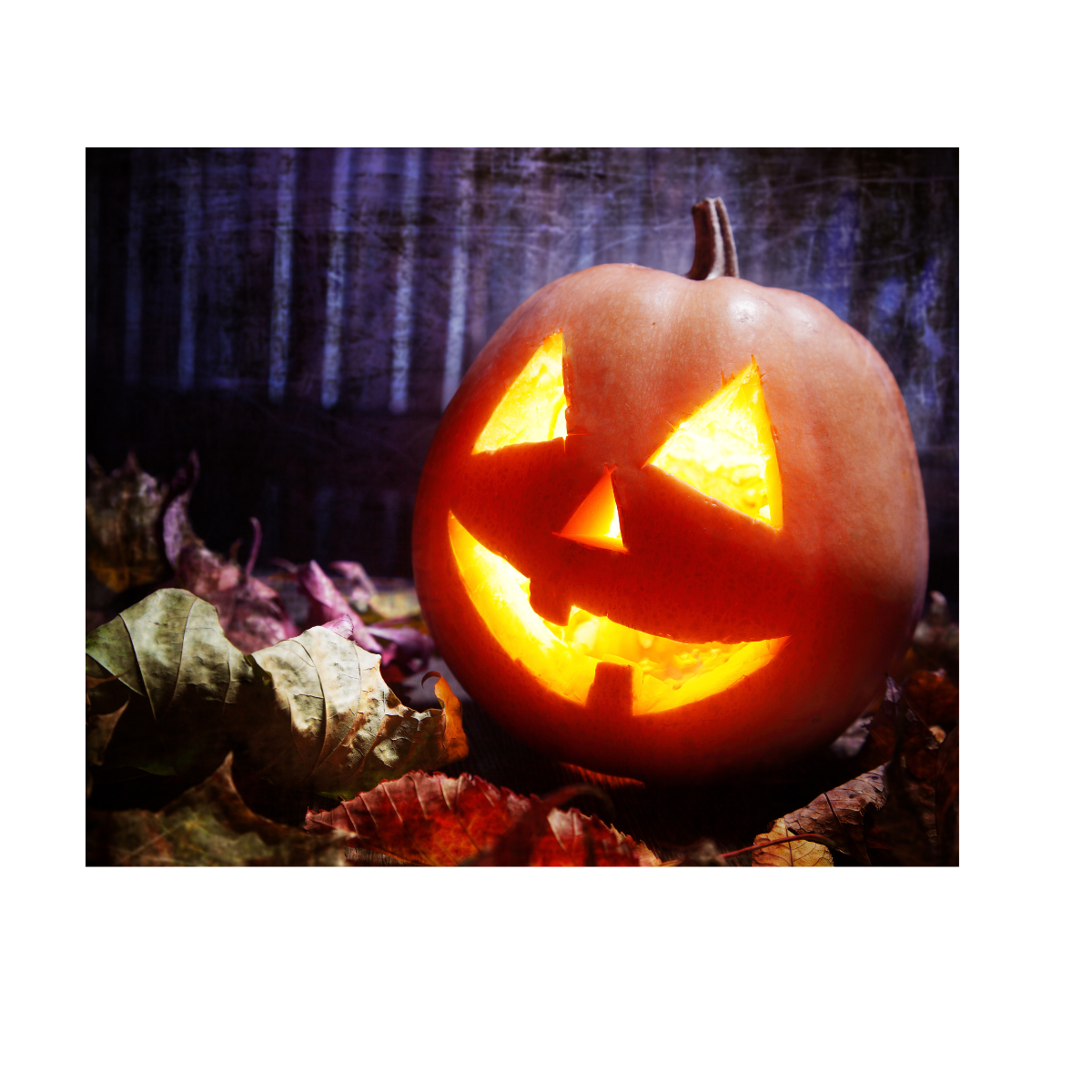 A jack-o-lantern lit up at night on a bed of leaves during Halloween. You can learn all about Halloween in the U.S. during a virtual language training experience.